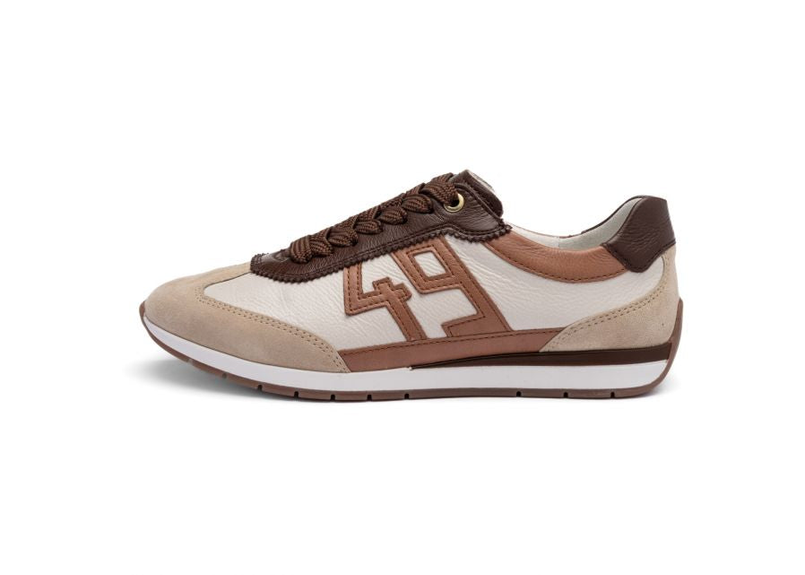 ARA DESPORTIVO Nº 49